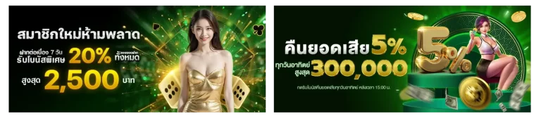 สมาชิกใหม่คืนยอดเสีย